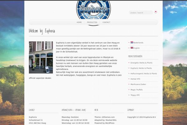 Simple’n’Bright theme site design template sample