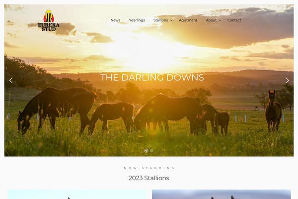 Site using Vimeo plugin