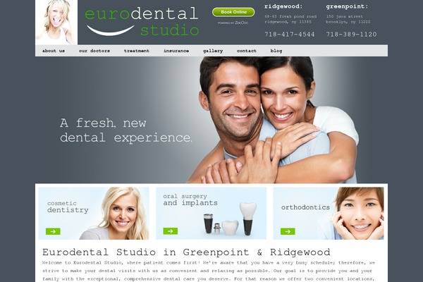EuroDental theme websites examples