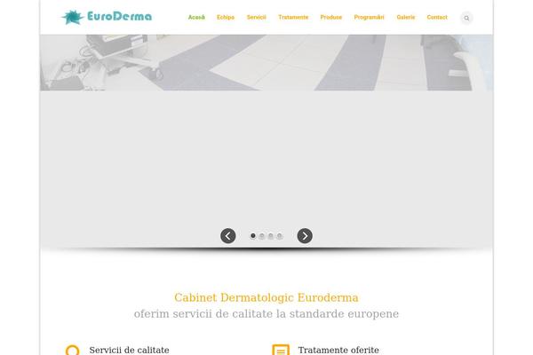 Florida theme site design template sample