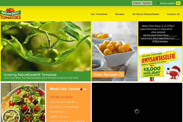 eurofresh.com site used Rox_metro