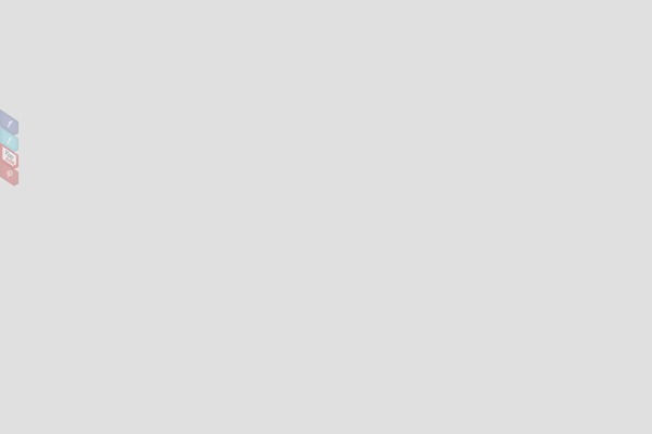 Zenon Lite theme site design template sample