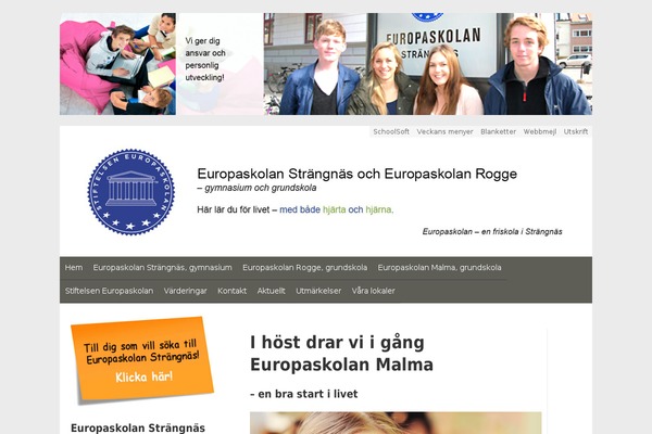 Site using Add-search-to-menu plugin