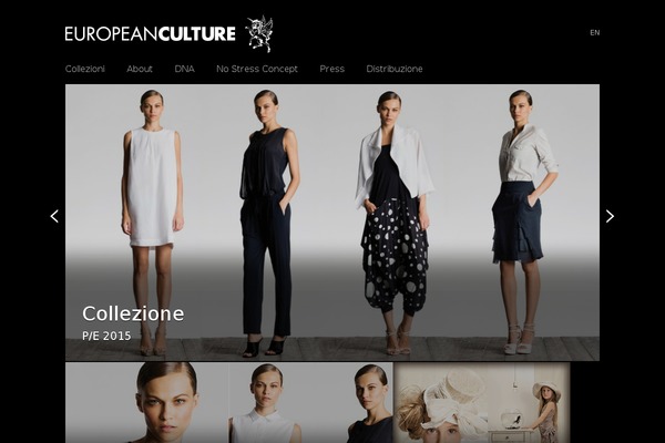 Extranews theme site design template sample