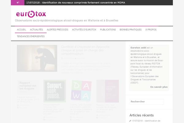 FlyMag theme site design template sample