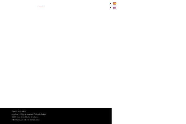 Site using Language-switcher-for-transposh plugin