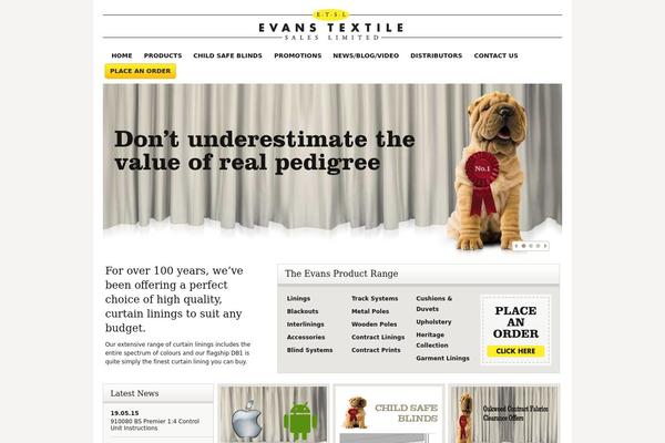 Evans theme site design template sample