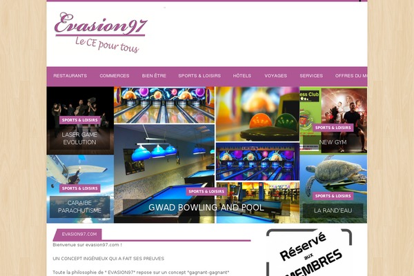 Lineza theme site design template sample