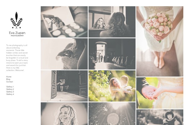 Wpex-photopro theme site design template sample