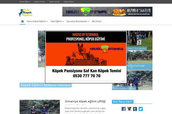 Site using Td-standard-pack plugin