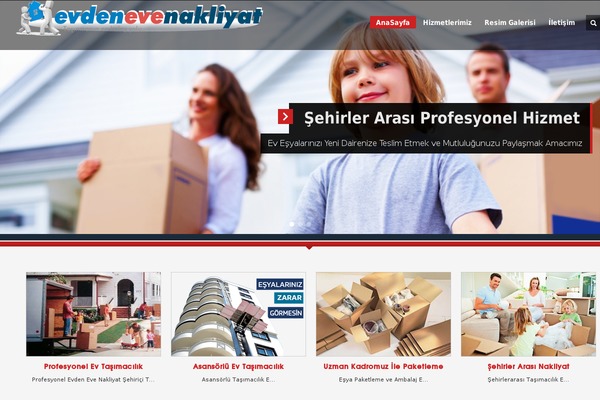 Tema theme site design template sample