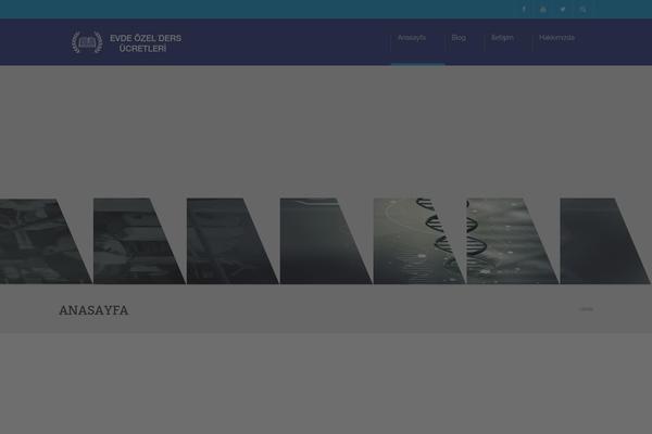 University theme site design template sample