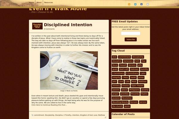 Lifestyle Pro theme site design template sample