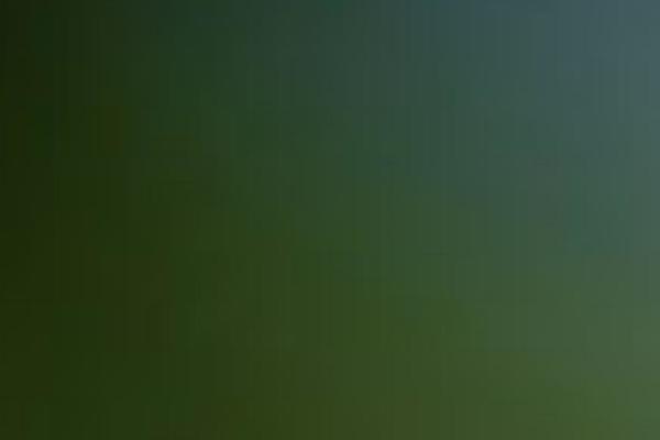Ventcamp theme site design template sample