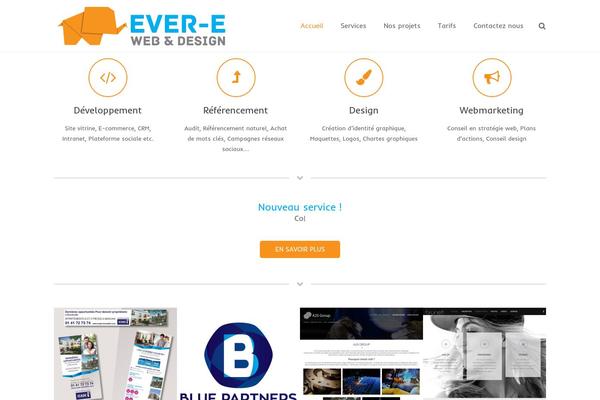 ever-e.fr site used Divichild_1.1