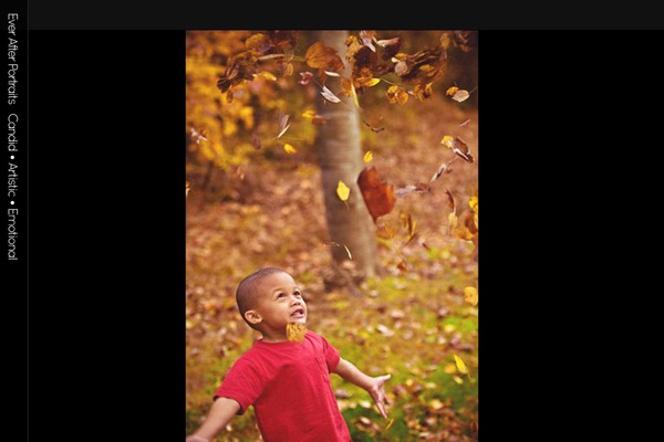 Site using Portfolio-slideshow-pro plugin