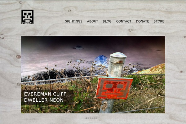 Briefed theme site design template sample