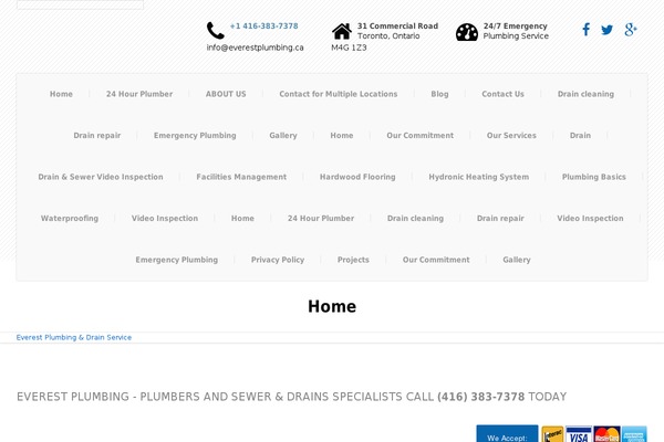 Everest theme site design template sample