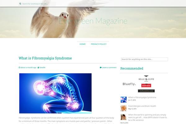 Preus theme site design template sample