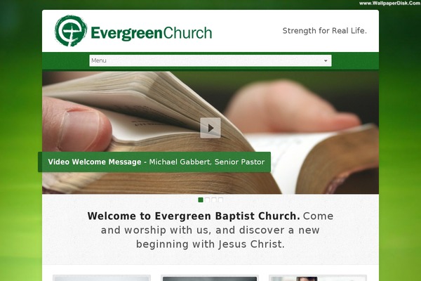 Risen theme site design template sample