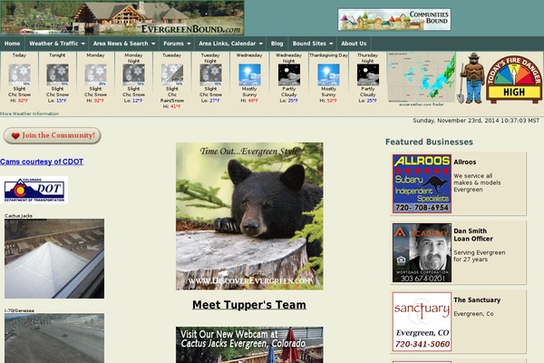 The7 theme site design template sample