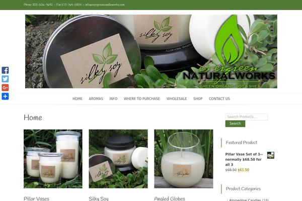 Store WP theme site design template sample