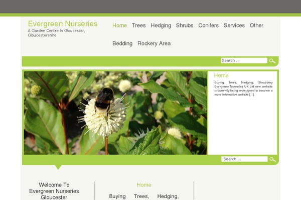 evergreennurseriesukltd.co.uk site used Newlife
