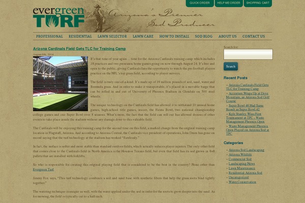 Evergreen theme site design template sample