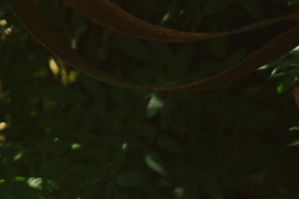 Site using Genesis-favicon-uploader plugin