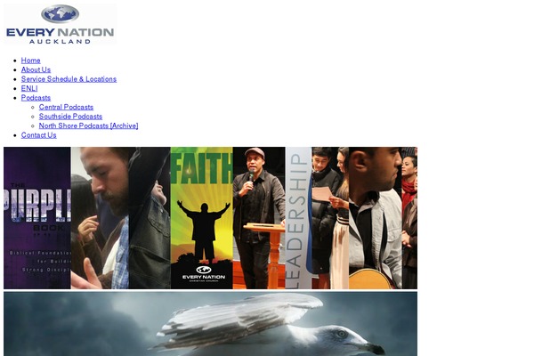 fluid-solution theme websites examples