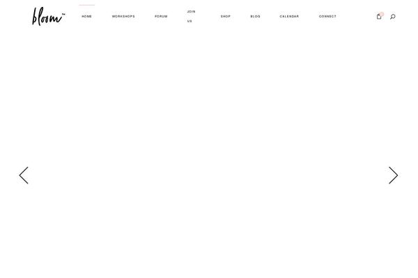 Site using Simple Social Icons plugin