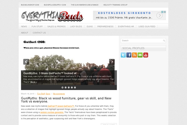 NewsLayer theme site design template sample