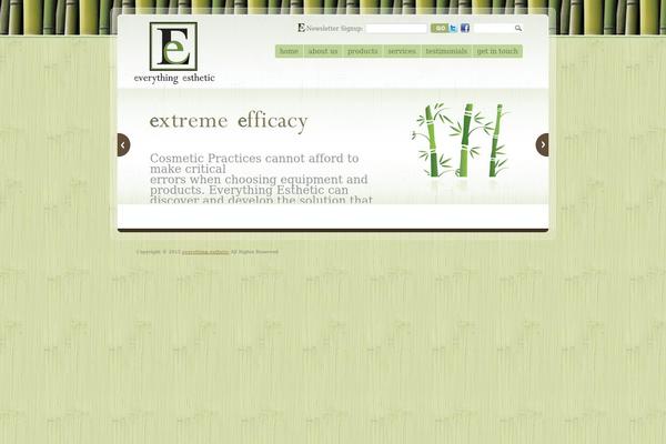 everythingesthetic.com site used E2