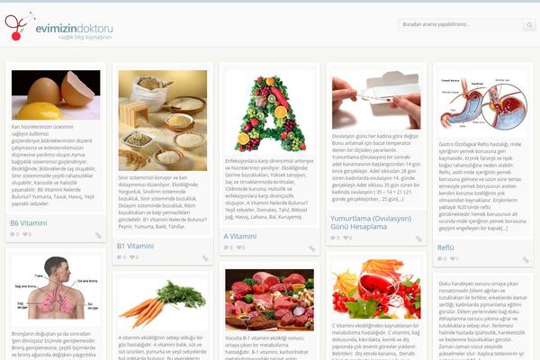 Pin theme site design template sample