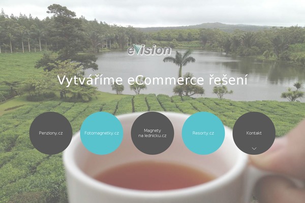 evision.cz site used Evision