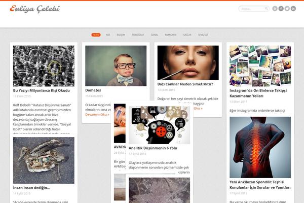 Remal theme site design template sample