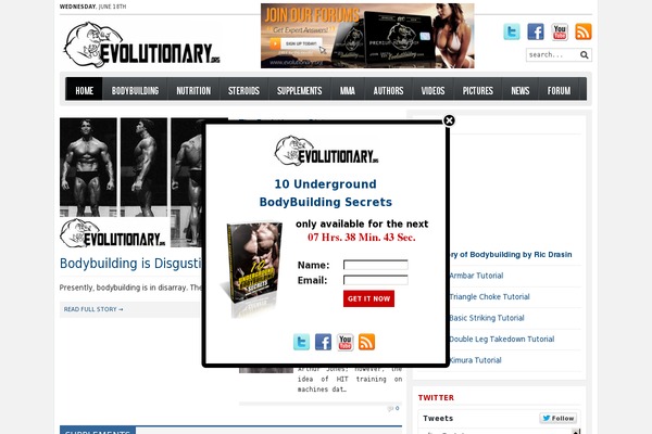 Site using Twitter Button by BestWebSoft plugin