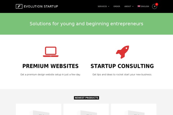Wpex Thunder theme site design template sample
