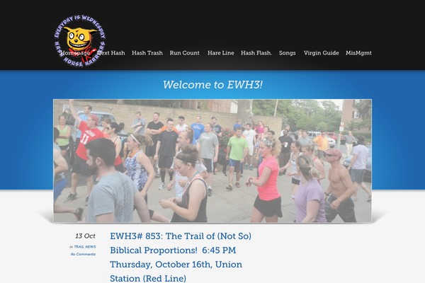 distinct theme websites examples