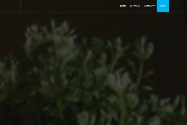 Site using WRC Pricing Table plugin