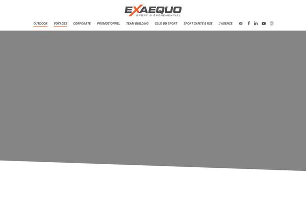 Site using Salient-portfolio plugin