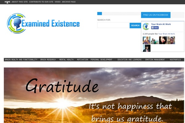 Daily Dish Pro theme site design template sample