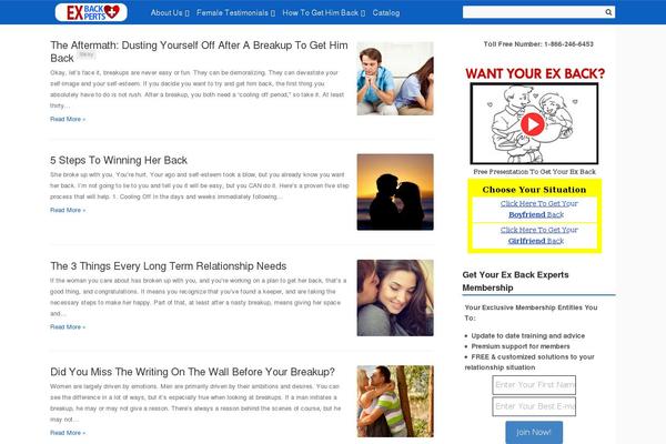 EverBox theme site design template sample
