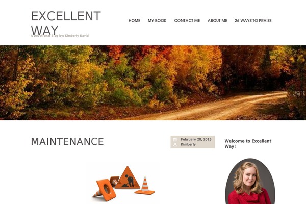 excellentway.org site used Bloggy