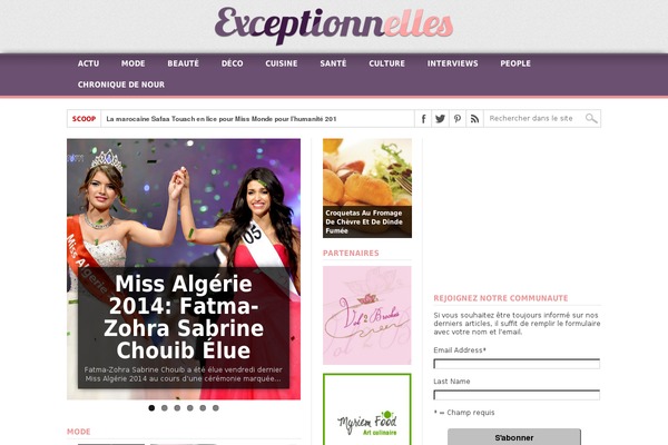 Max Mag theme site design template sample