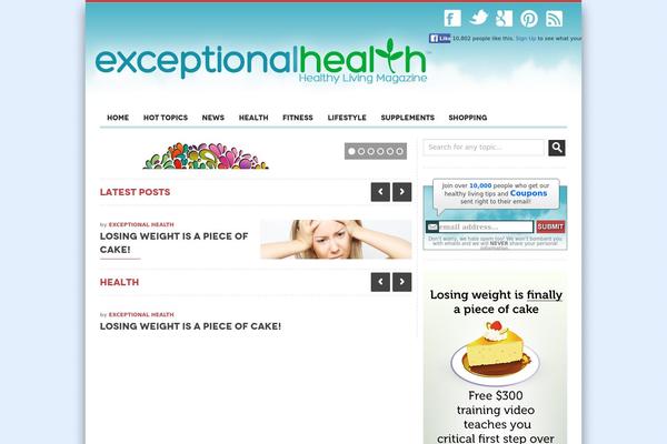 Zend theme site design template sample