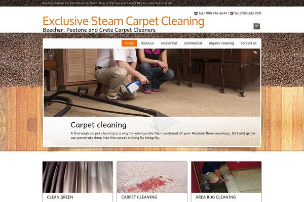 exclusivesteamcarpetcleaning.com site used Carpetcleaner