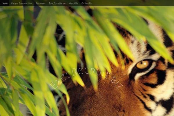 execrecruit.biz site used Arcade Basic