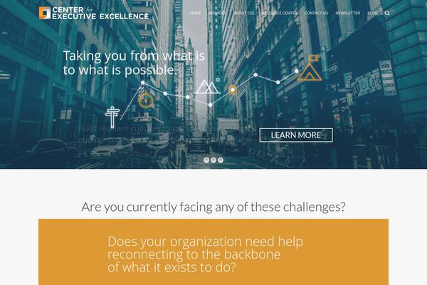 executiveexcellence.com site used Beyond