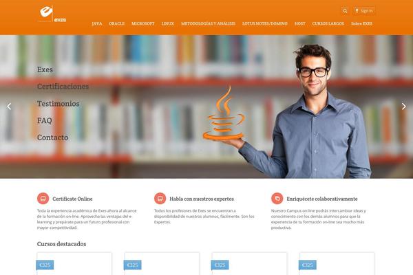 Academy theme site design template sample